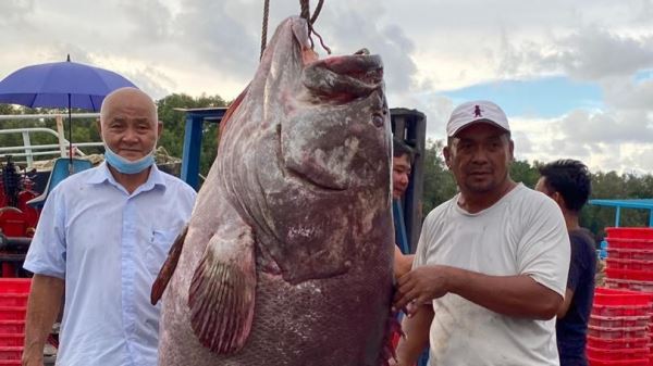 Гигантским уловом похвастался рыбак из Малайзии 