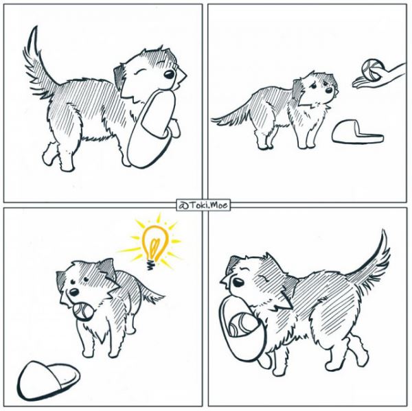 Художник с помощью комиксов показывает, каково жить с кошкой и собакой (11 фото)