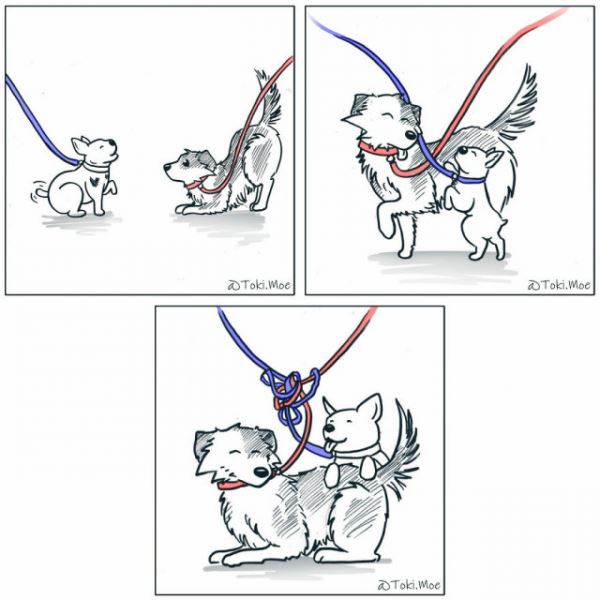 Художник с помощью комиксов показывает, каково жить с кошкой и собакой (11 фото)